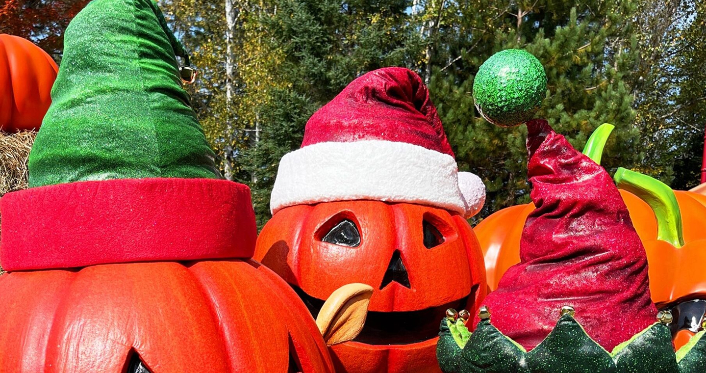 Pumpkins with Santa hats!